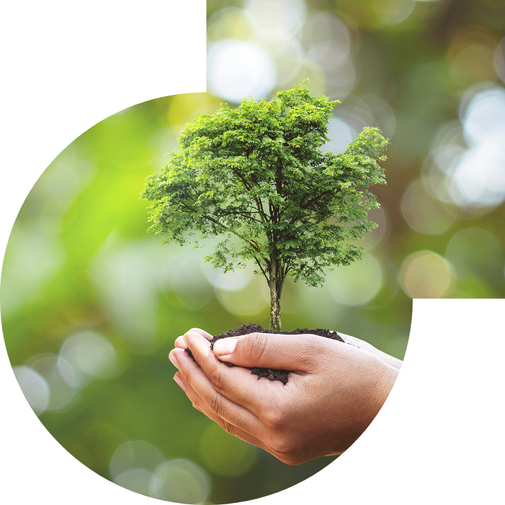 关怀人类、文化、环境与社会